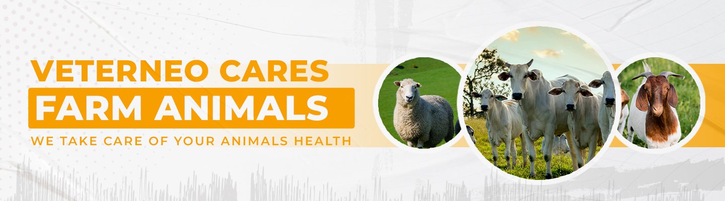 veterinary care farm animals we take of your animals health