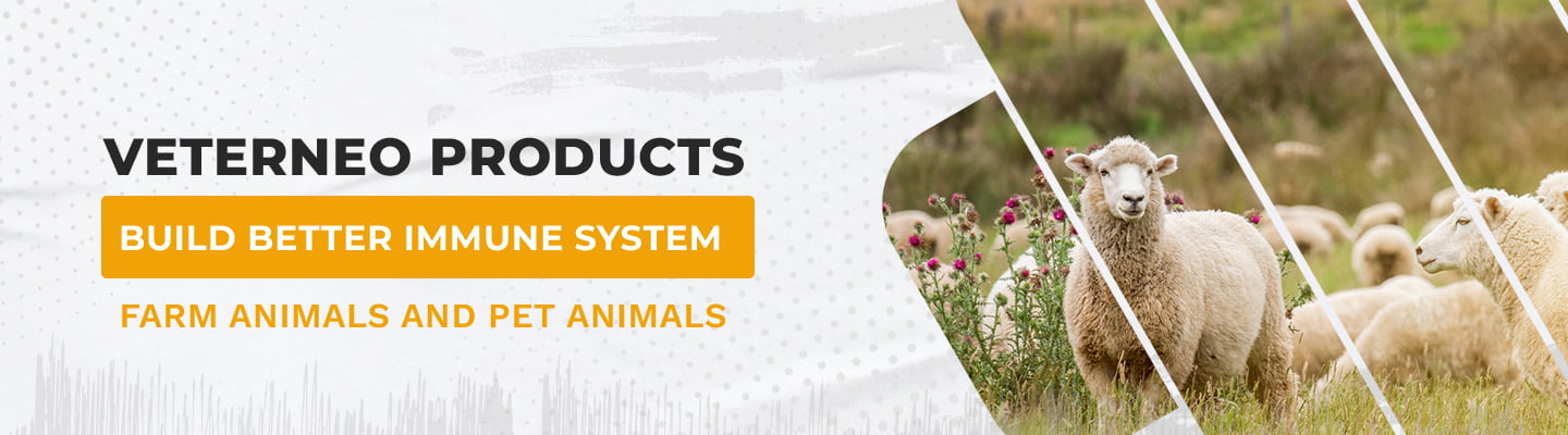 Veterneo Products Build better Immune system for Farm animals And Pet animals